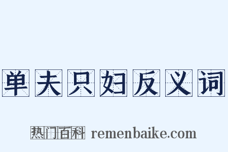 单夫只妇反义词是什么意思的图片